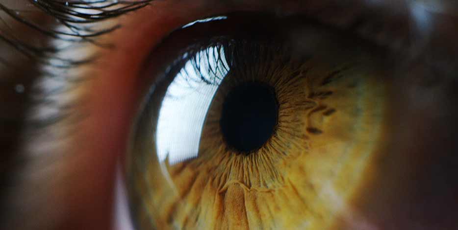 Macro close up of green eye looking upwards